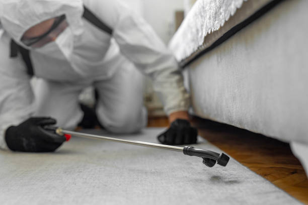 Professional Bed Bug Control technician working in Lake Park, IA